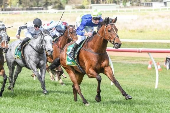 Sir Domigo winning at Hamilton Racecourse on October 14, 2023