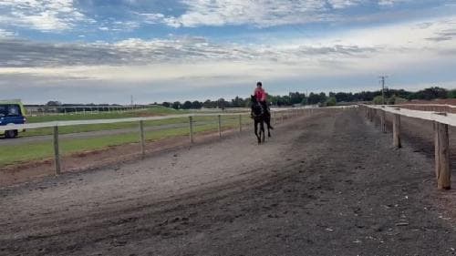 Picture of the author