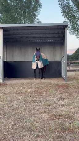 Picture of the author