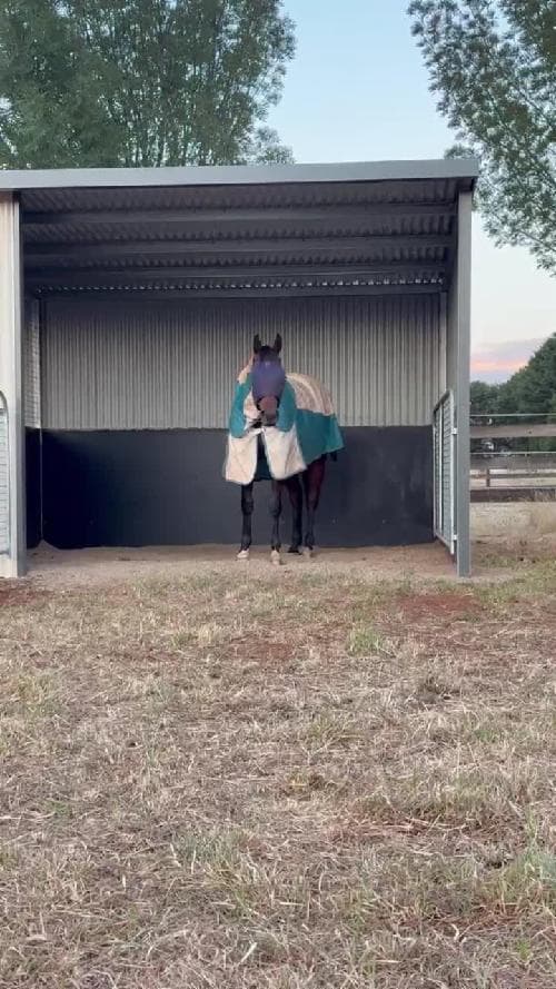 Picture of the author